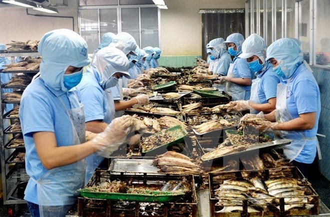 附圖：2018年前兩月越南水產(chǎn)品出口額同比增長近30%。（圖片來源：越通社）